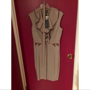 Zac Posen Tan and Brown Dress with Ruffled Front